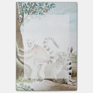Ring-Tailed Lemurs Illustration Post-it Notes