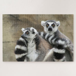 ring tailed lemurs jigsaw puzzle