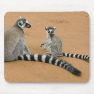 Ring-tailed Lemurs, (Lemur catta), Berenty Mouse Pad