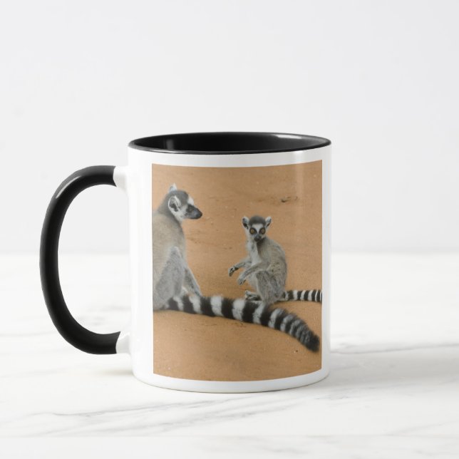 Ring-tailed Lemurs, (Lemur catta), Berenty Mug (Left)