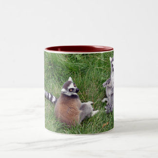 Ring tailed lemurs mug