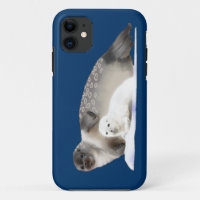 Ringed Seal