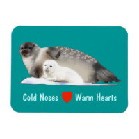 Ringed Seal