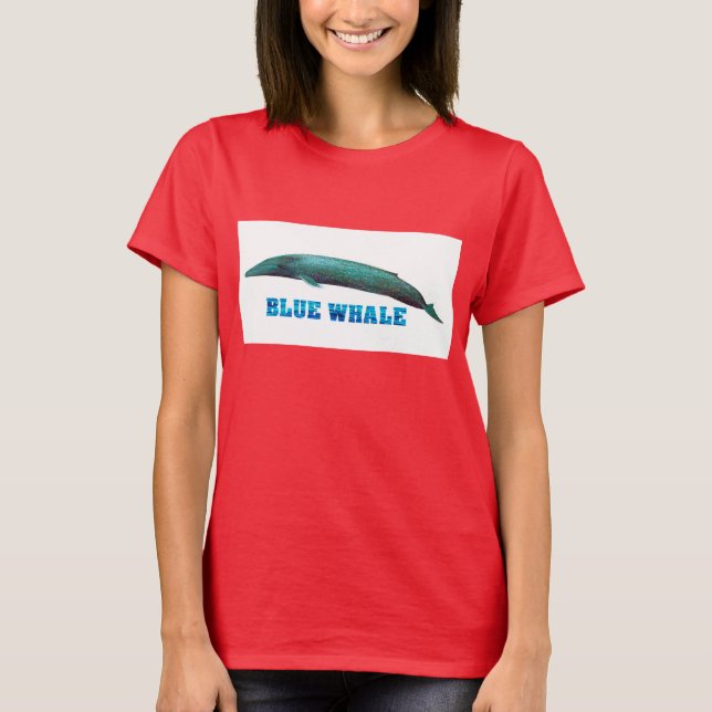 Ringer-T-Shirt T-Shirt (Front)