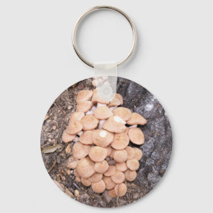 ringless honey mushrooms key ring