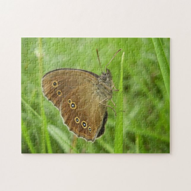 Ringlet Butterfly Photo Puzzle with Gift Box (Horizontal)
