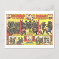 Ringling Bros. Elephant Comedians Circus Ad