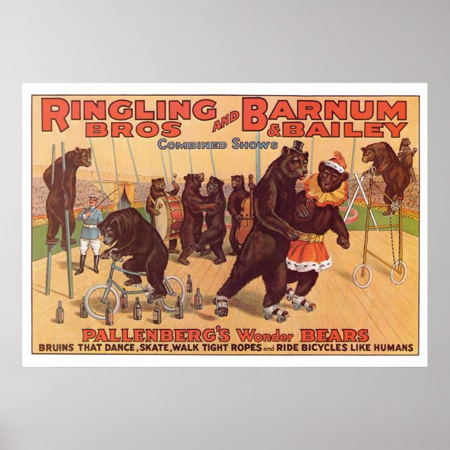 Ringling Bros. Wonder Bears Advertisement 1920's Poster (Front)