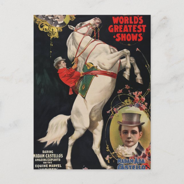 Ringling Brothers Horses Postcard (Front)