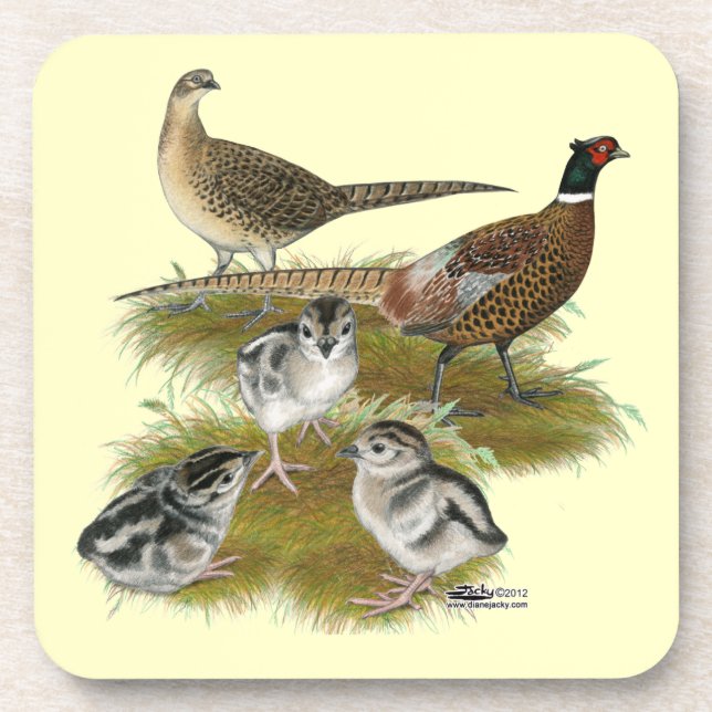 Ringneck Pheasant Family Coaster (Front)
