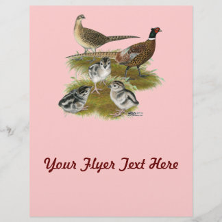 Ringneck Pheasant Family Flyer