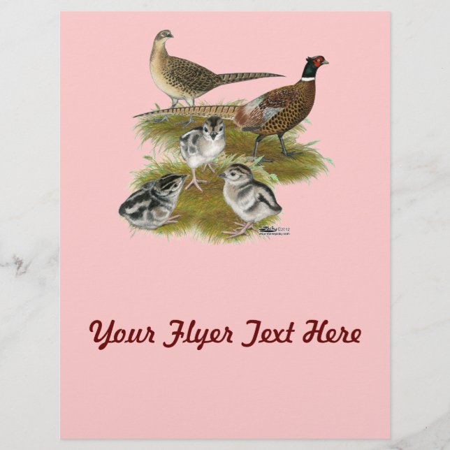 Ringneck Pheasant Family Flyer (Front)