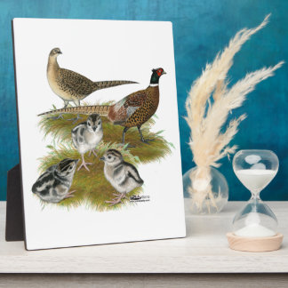 Ringneck Pheasant Family Plaque