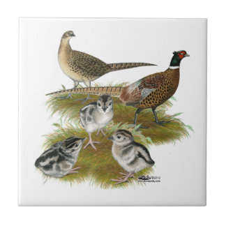 Ringneck Pheasant Family Tile