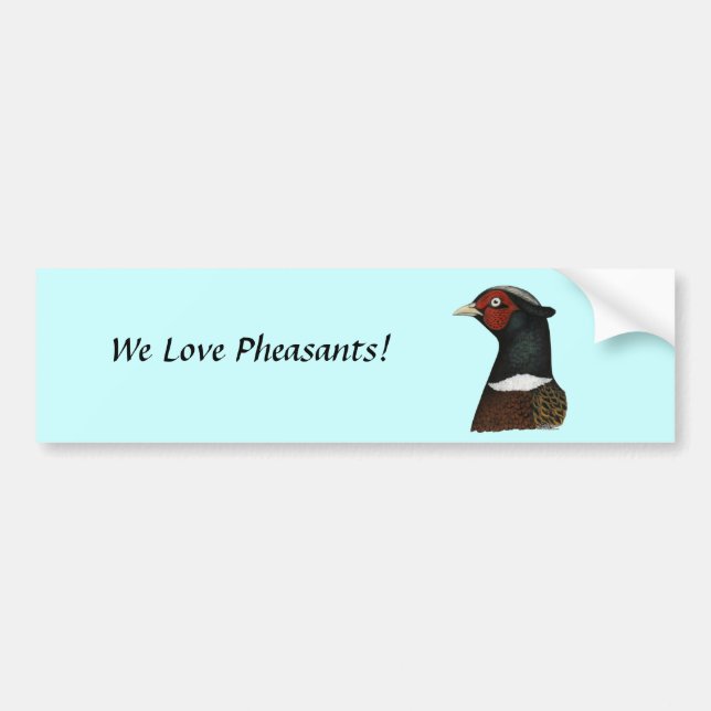 Ringneck Pheasant Head Bumper Sticker (Front)