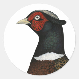 Ringneck Pheasant Head Classic Round Sticker