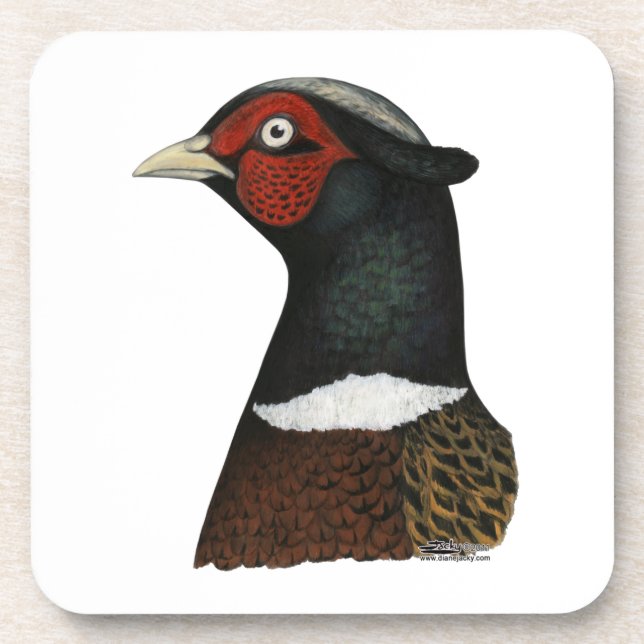 Ringneck Pheasant Head Coaster (Front)