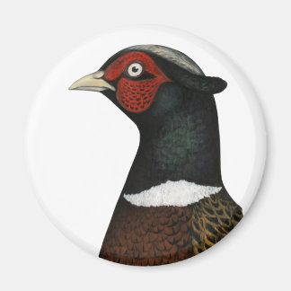 Ringneck Pheasant Head Magnet