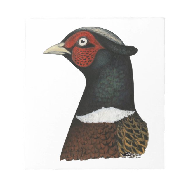 Ringneck Pheasant Head Notepad (Front)