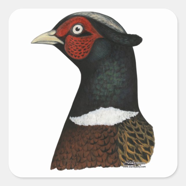Ringneck Pheasant Head Square Sticker (Front)