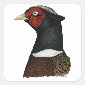 Ringneck Pheasant Head Square Sticker
