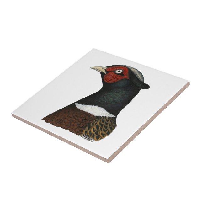 Ringneck Pheasant Head Tile (Side)