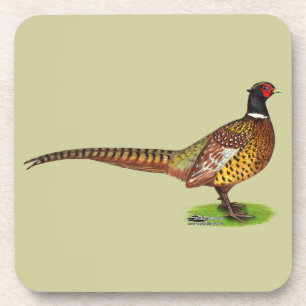 Ringneck Pheasant Rooster Coaster