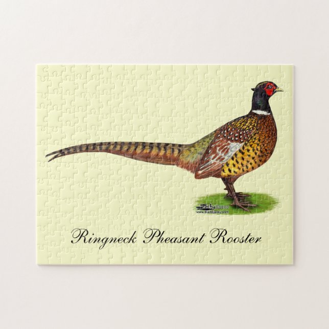 Ringneck Pheasant Rooster Jigsaw Puzzle (Horizontal)