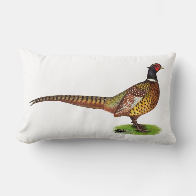 Ringneck Pheasant Rooster Lumbar Cushion (Front)