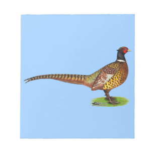Ringneck Pheasant Rooster Notepad