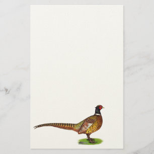 Ringneck Pheasant Rooster Stationery