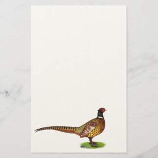Ringneck Pheasant Rooster Stationery
