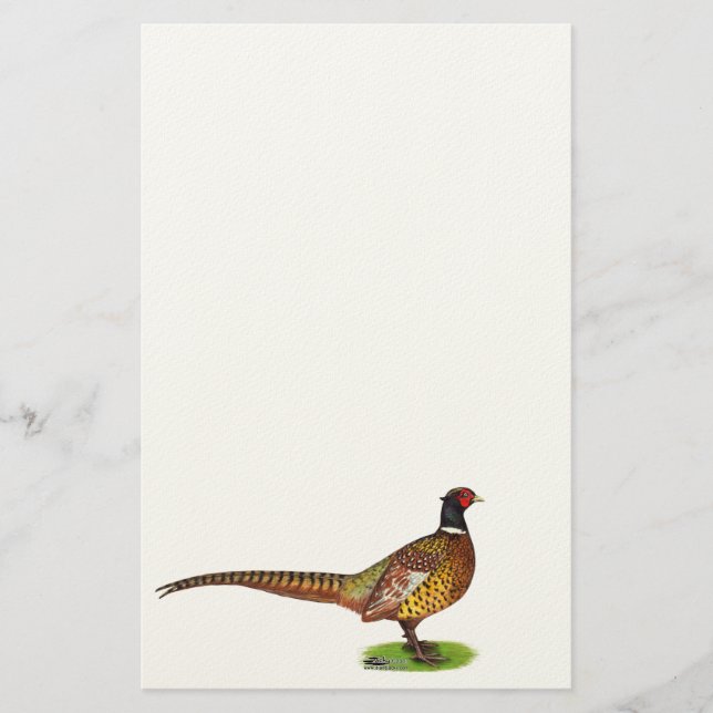 Ringneck Pheasant Rooster Stationery (Front)