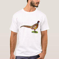 Ringneck Pheasant Rooster