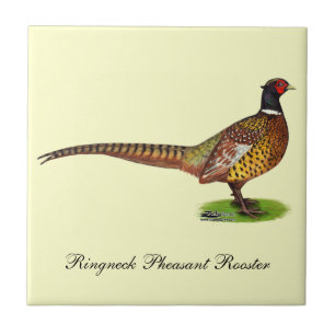 Ringneck Pheasant Rooster Tile