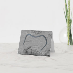 Ringneck Snake Note Card