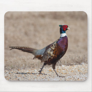 Ringnecked Pheasant Mouse Pad