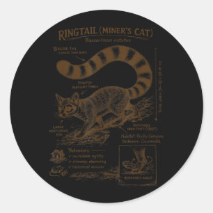 Ringtail Miners Cat Anatomy Wildlife Animal Lover Classic Round Sticker