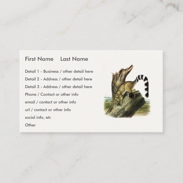 Ringtail (Ring-tailed Bassaris, Ringtailed Cat) Business Card (Front)