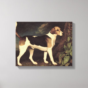 Ringwood, a Brocklesby Foxhound, 1792 Canvas Print