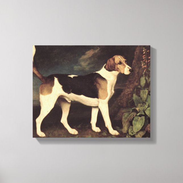 Ringwood, a Brocklesby Foxhound, 1792 Canvas Print (Front)