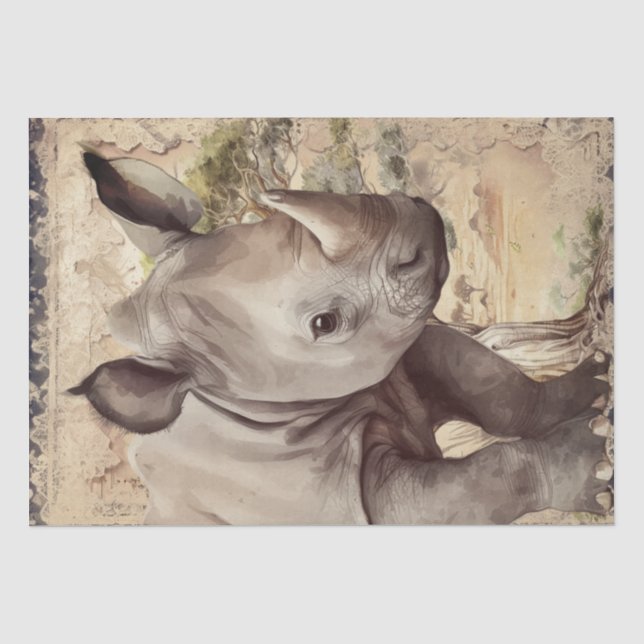 Rino Baby Tissue Paper (Front)