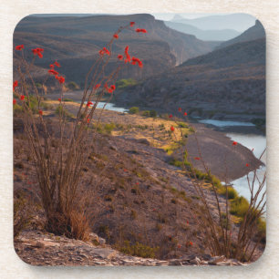 Rio Grande Running Through Chihuahuan Desert Coaster