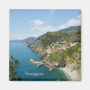 Riomaggiore village area in Cinque Terre, Italy Magnet