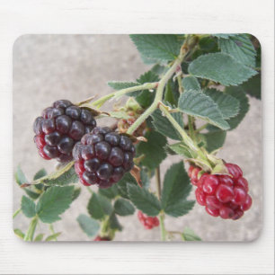 Ripe Blackberries Mouse Pad