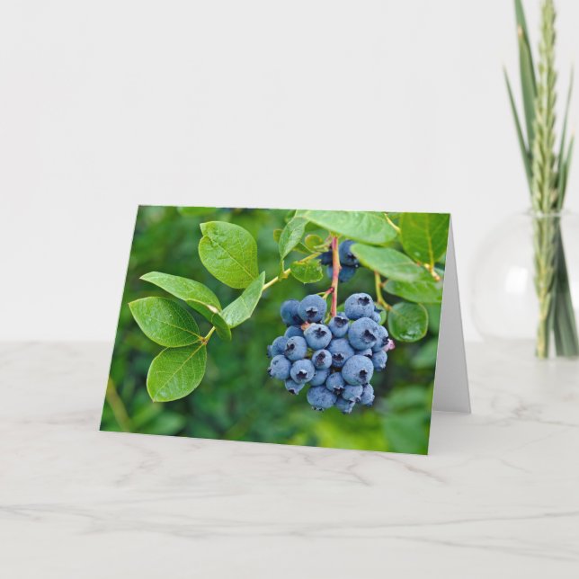 Ripe Blueberries Card (Front)