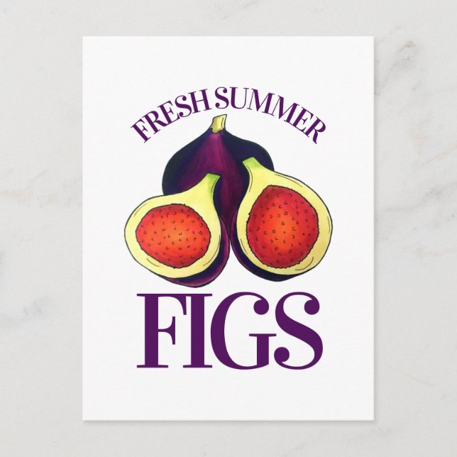 Ripe Fresh Summer Figs Fig Tree Food Postcard (Front)