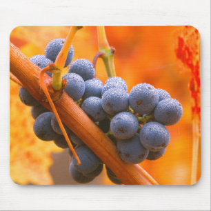 Ripe Grape In Vineyard Mouse Pad