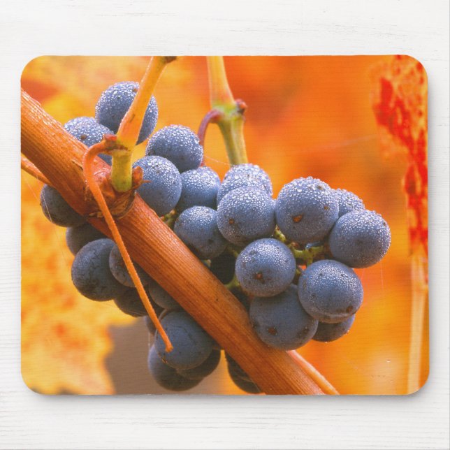 Ripe Grape In Vineyard Mouse Pad (Front)