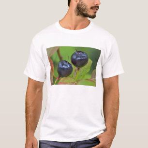 Ripe huckleberries in the Flathead National 2 T-Shirt